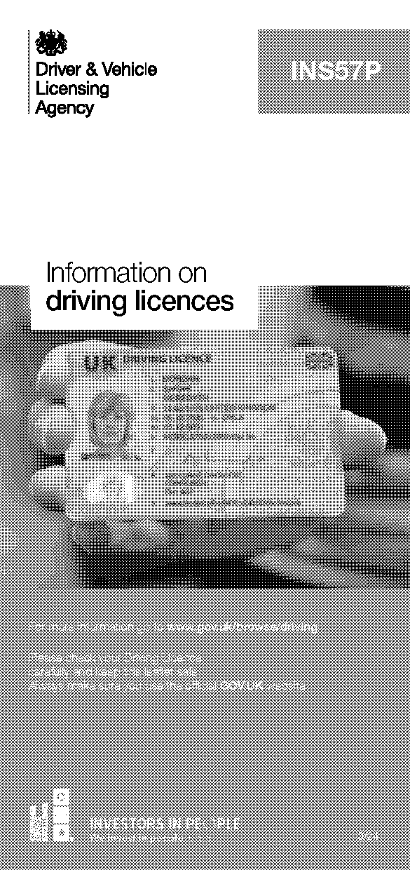 what is my driving licence issue number