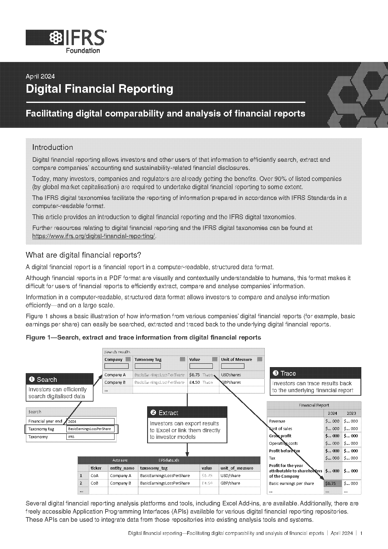 financial statement analysis report format