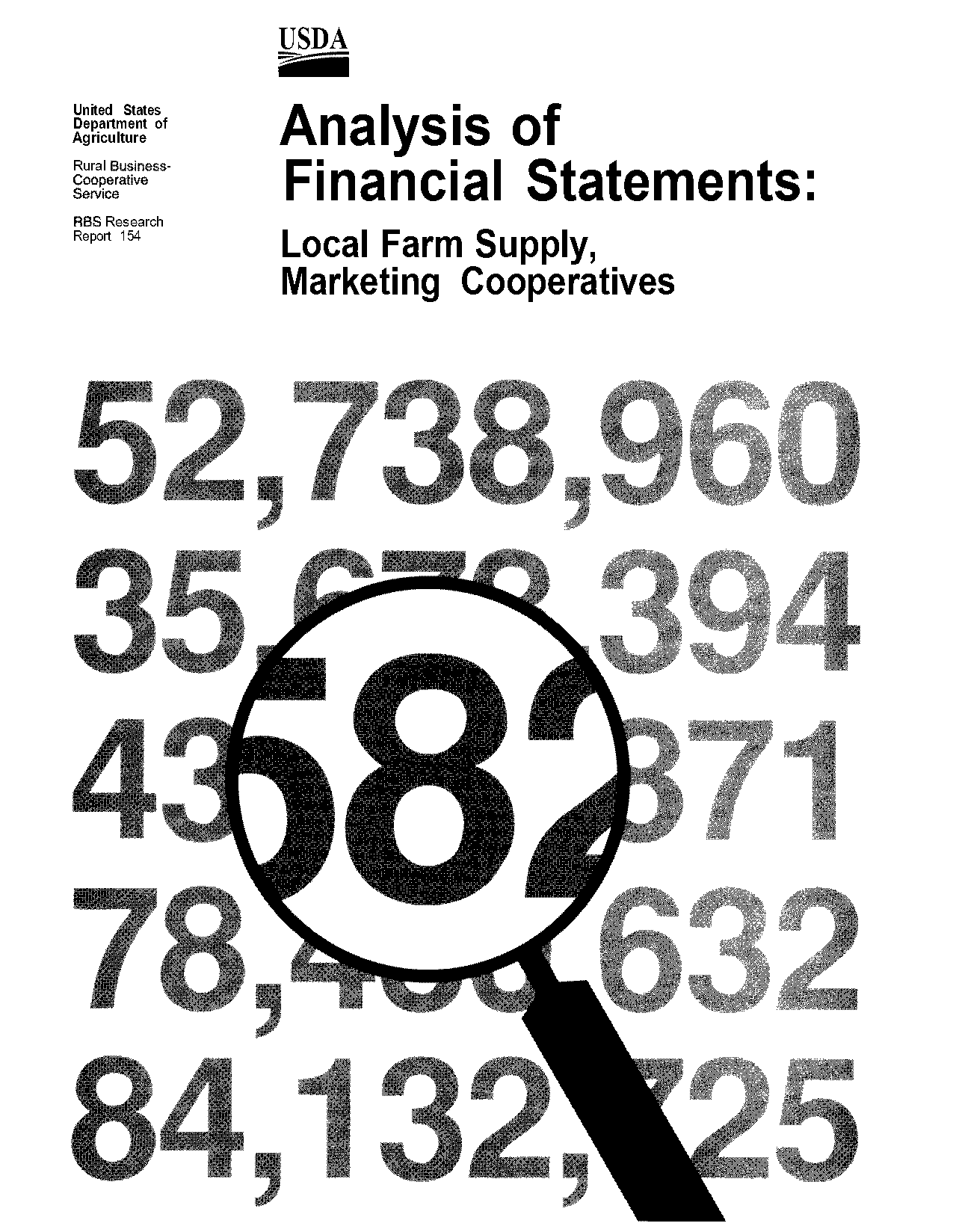 financial statement analysis report format