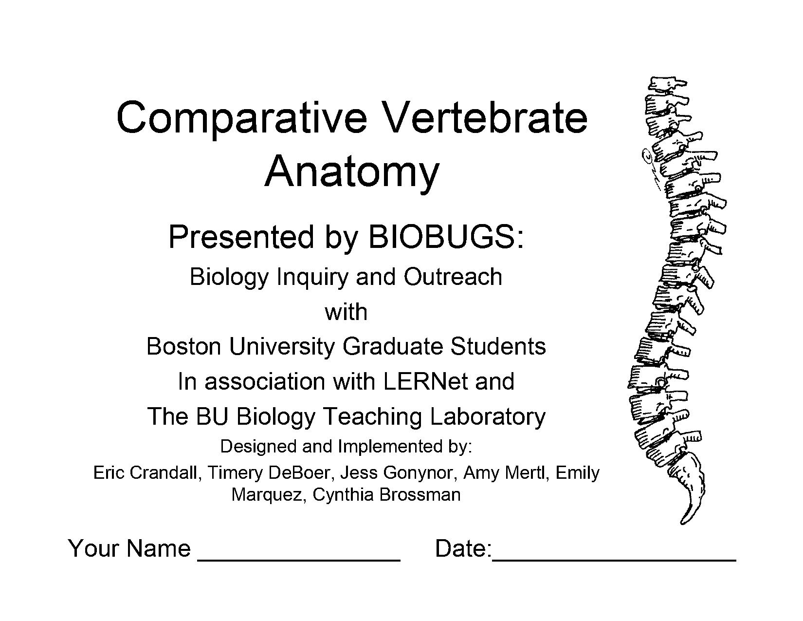 comparative anatomy of vertebrates skeletal system pdf